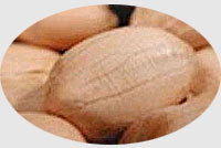 Groundnut Oil